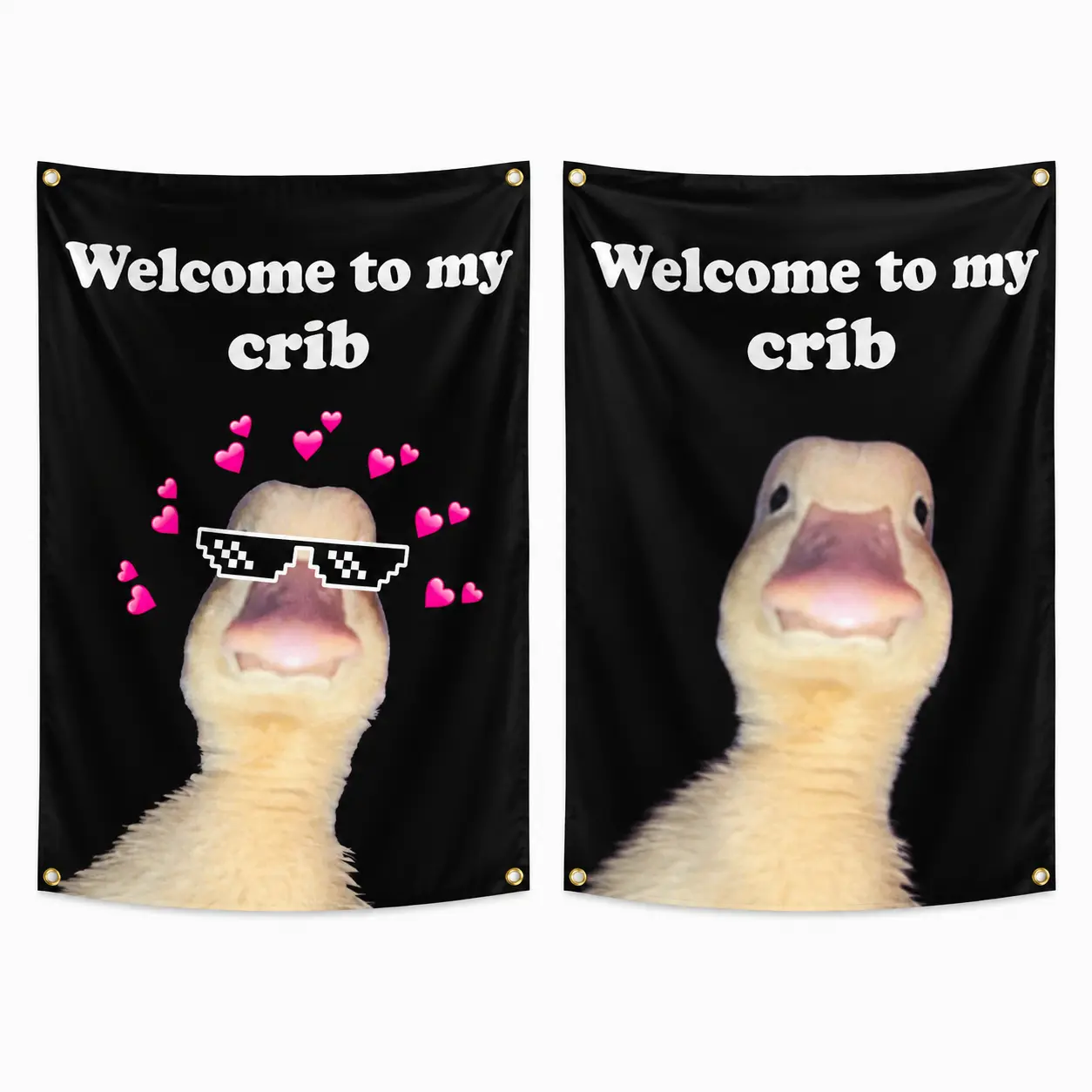 Welcome to My Crib Flag 2x3 Feet Tapestry Funny Poster Durable Man Cave Wall Flag with Brass Grommets room decor for bedroom Banner(24x36 inches)