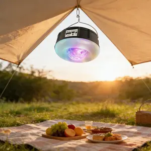 LED Solar Camping Light, 13.2cm Rgbw Color Changing, Sound Activated, Outdoor Party, Daily Lighting, Holiday Decor, Camp Accessories