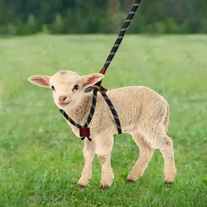 Adjustable Step-in Goat Harness & Leash, Goat Accessories Livestock Halter Supplies for Goats and Sheep Large