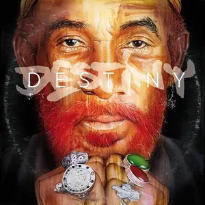 Destiny - Lee Scratch / Riddim Perry - Record Album, Vinyl LP
