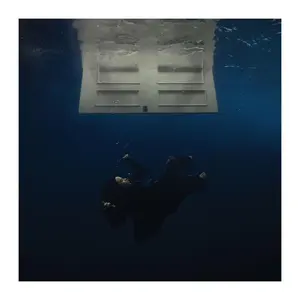Billie Eilish: Hit Me Hard - Vinyl