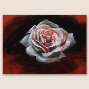 Rose 11"x16" Original Conte Crayon & Charcoal Drawing with Dramatic Contrast - Floral Gothic Art