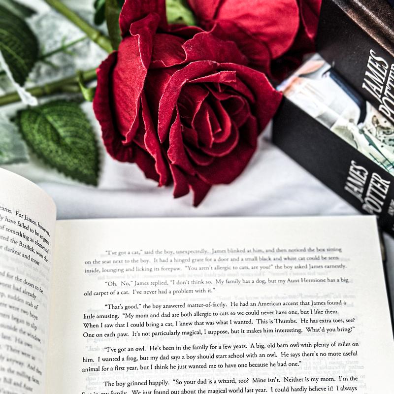 James Potter Series Combo 5 | Hardcover Special Edition | Collector’s Fantasy Adventure Set