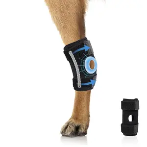 Pet Dog Knee Joint Protector, Patellar Protection, Canine Feline Rehabilitation Aid, Ligament Dislocation Protection