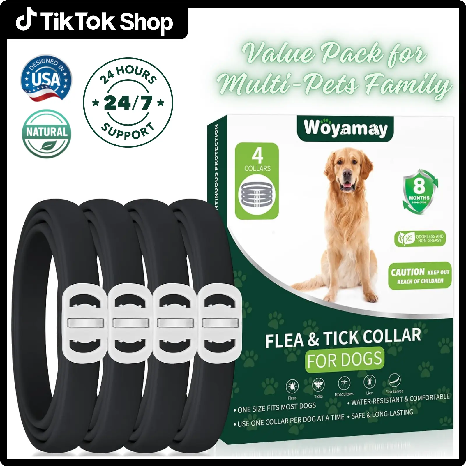 Black Dog Collar Silver Buckle