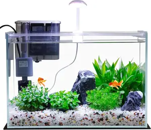 3 Gallon Glass Small Fish Tank, Betta Fish Tank Starter Kit with Filter, Lights,Lid.