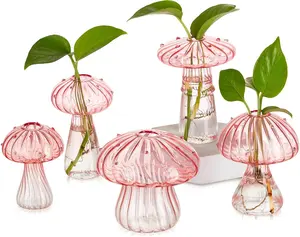 Mushroom  Propagation Stations:  Glass Terrarium Jar Set of 5 Cute Planters for Indoor  Decorative Propagate Vase  Gifts for Women  Office Decor