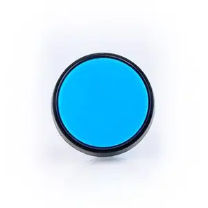 Large Blue Plastic Mechanical Push Button