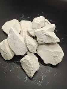 Natural Gray White Clay Chunks Edible Cosmetic Grade Slightly Sticky 7oz/200g Pure Mineral Blocks for DIY Beauty Products & Art Crafts