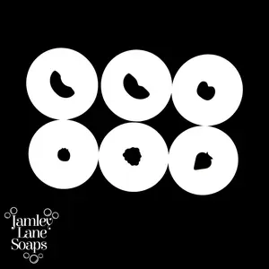 Fruit 6 Piece Extruder Disc Set