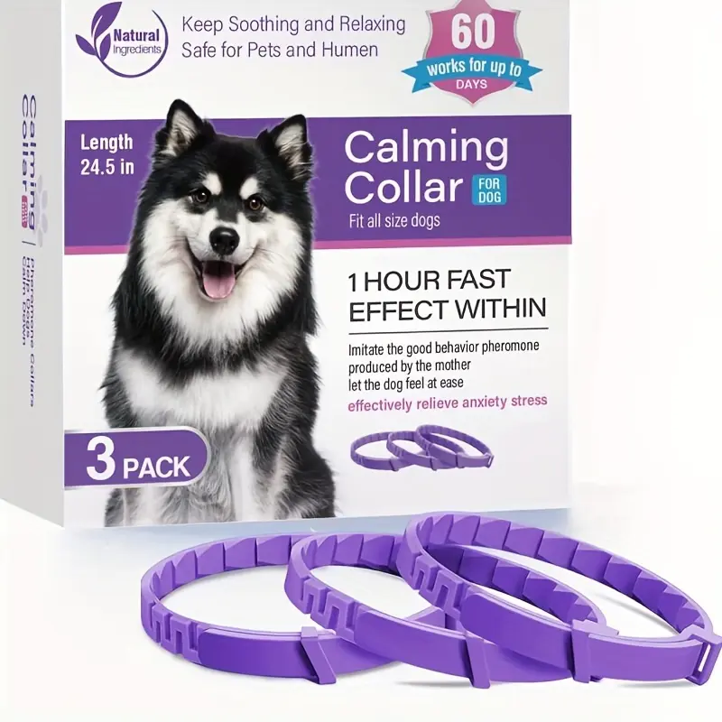 3 Pack Dog Purple