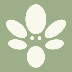 Petra Aroma Herbal Wellness