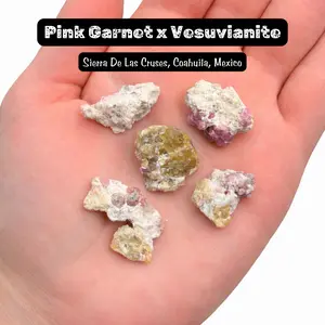 ONE Pink Garnet and Vesuvianite Specimen - Mexico - Natural PINK Garnet