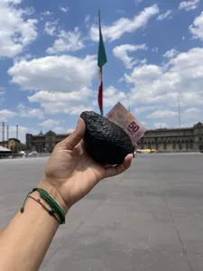 Avocado Monedero - Coin Purse