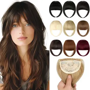 Dulchany Clip in Bangs Hair Extensions, Natural Fake Fringe with Double Clips, Easy Wear Glueless Thick Synthetic Hairpieces for Women, Everyday Style Universal Feather Bangs