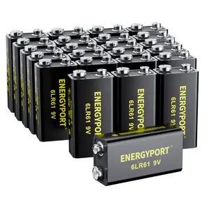 24Pack ENERGYPORT 6LR61 9V Alkaline Batteries, Long-Lasting 10-Year Shelf Life for Smoke Alarms, Guitar Pedals, Microphone, Smoke Detector