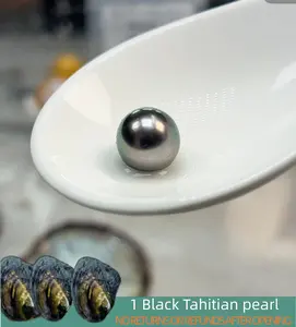 【Tom】Black Tahitian Pearl ( 1 Black Pearl in 1 Shell 8-12 mm Top Tier Seawater Pearl)｜Live Opening Non-Refundable NO RETURNS OR REFUNDS AFTER