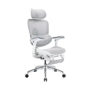 SIHOO C300 Pro V2 Ergonomic Office Chair with Dynamic Lumbar Support, Adjustable Backrest & Footrest, Breathable Mesh Desk Chair for Home Office