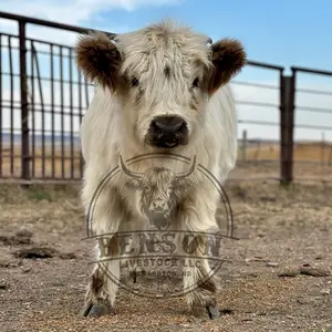 20x16” Canvas Print - Ready to Hang - Perfect for Home Decor