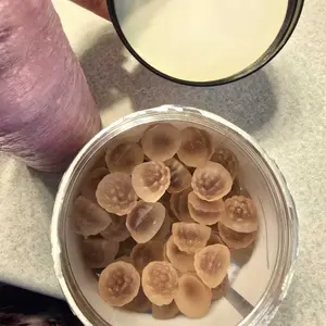 Increase Breastmilk Supply, Lactation Supplement + Postpartum Recovery Gummies - Flower Child Nutrition