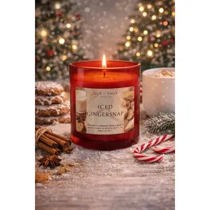 Iced Gingersnap Candle