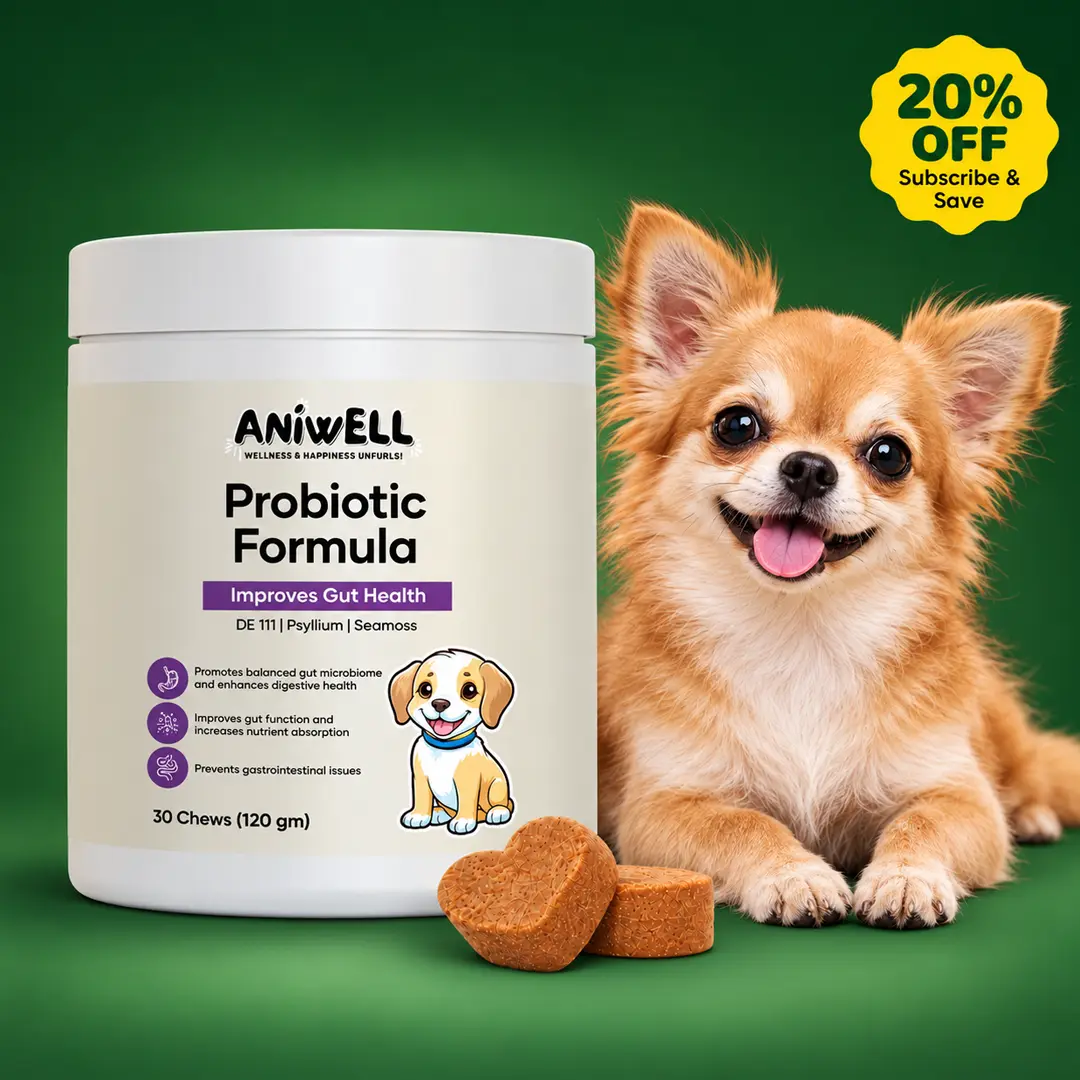 Aniwell Probiotics Formula: Powered by Moringa, DE111, SeaMoss, & Mixed Tocopherols