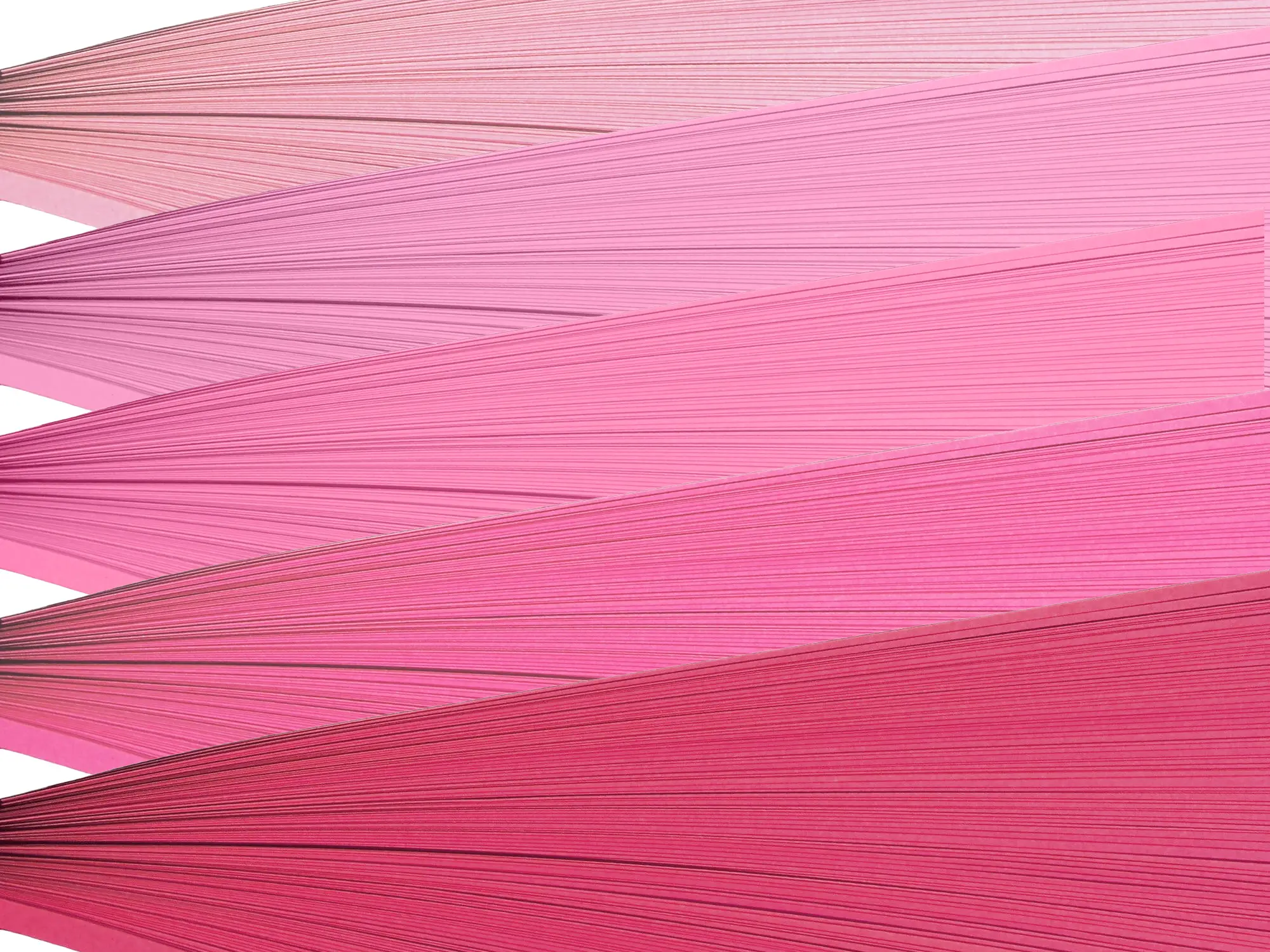 Pink Multipack