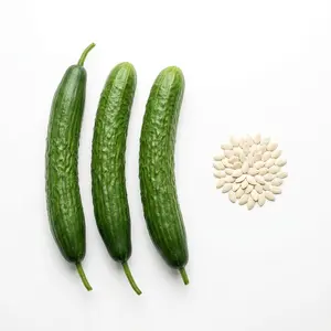 30 Seeds: Asian Crisp Extra-Long Cucumber – Ideal for summer salads; crisp, refreshing texture with no bitterness; suitable for home growing (seeds only, no live plants).
