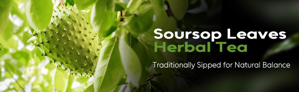 40 Premium Soursop Graviola Leaf Tea Bags, 100% Natural Pure Hoja Guanabana Tea, Handmade Detox Calm Sleep Tea, Sugar & Caffeine Free, Corn Fiber Tea Bags