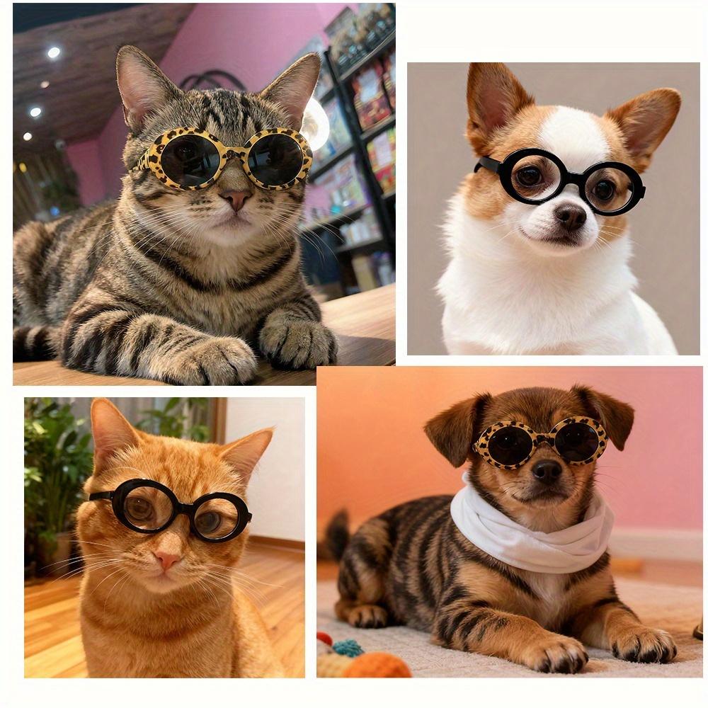 2 Pairs of Pet Glasses for Cats And Dogs, 3.15inch Pet Glasses, Fashion Pet Dress And Photography Props