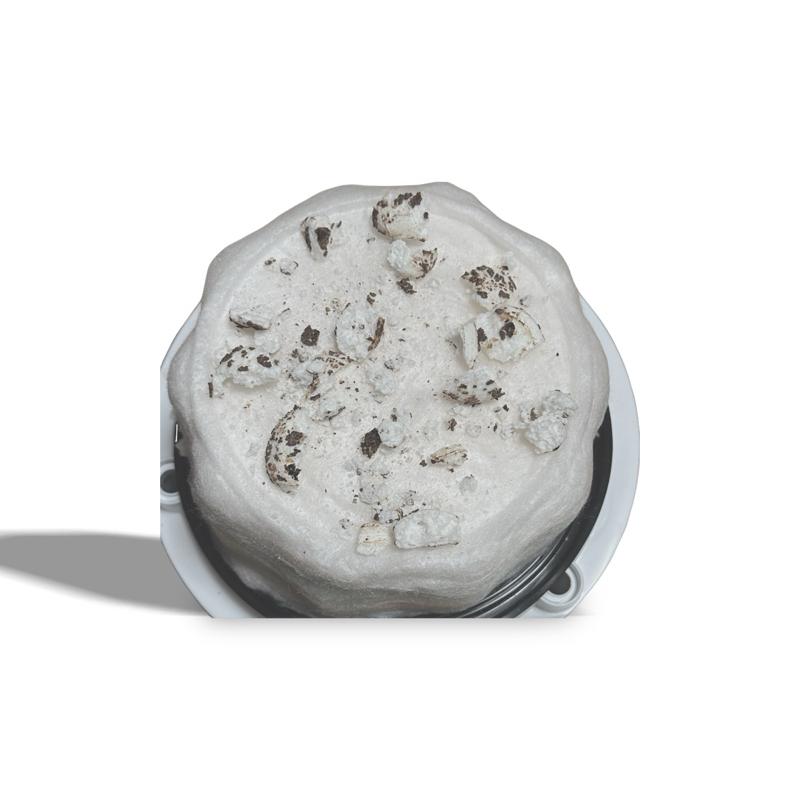 Chocolate /Peppermint Coton Candy