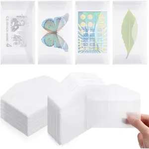600 Pcs 4.25 x 2.5 Inch Frosted Translucent Glassine Mini Envelopes, Small Bulk Bag for Lottery Ticket, Seed Stamp Coin Collecting, Scratch Ticket Wedding Guest Craft