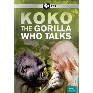 USED-Koko: The Gorilla Who Talks (DVD)