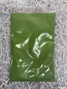 Backyard Slime - Green