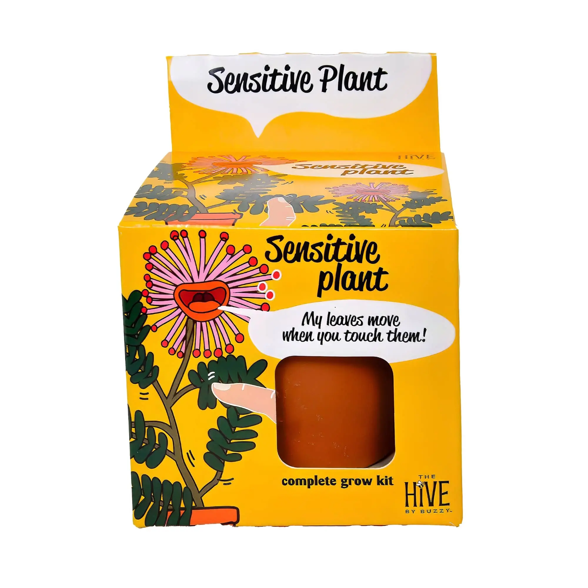 Mimosa Pudica Sensitive Plant Grow Kit - Beginner-Friendly Indoor Gardening Set with Seed, Fun Terracotta Pot for Kids, Ideal for Interactive Classroom Activities & Bright Light Conditions