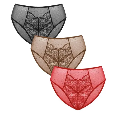 【3 Pack】HSIA Floral Soft Lace Comfortable Mesh High-Rise Brief Underwear TikTokShopBlackFriday