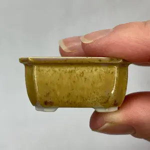 Tiny Rectangle Mame Bonsai Pot in Champagne, About 1.5 inches long