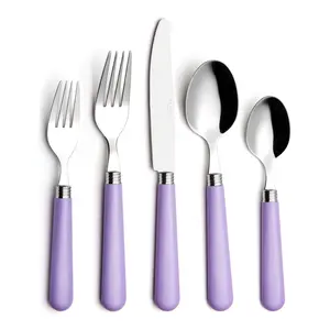 ANNOVA Silverware Set 20 Pieces Stainless Steel Cutlery Color Handle Flatware - 4 x Dinner Knife; 4 x Dinner Fork; 4 x Salad fork; 4 x Dinner Spoon; 4 x Dessert Spoon Lilac, Purple
