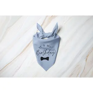 It's My Birthday Bow Tie Dog Bandana