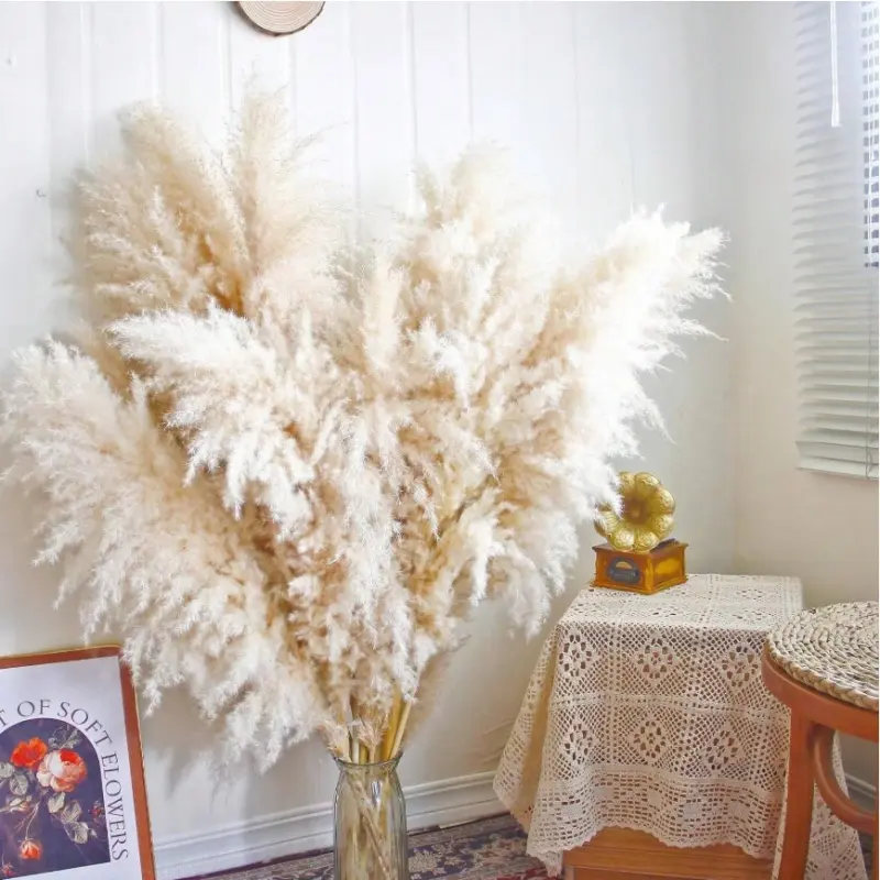 40in Natural Dried Pampas Grass, Tall Fluffy Pampas Grass Decor for Floor Vase, Wedding, Party, Farmhouse, Boho Living Room and Home Decor