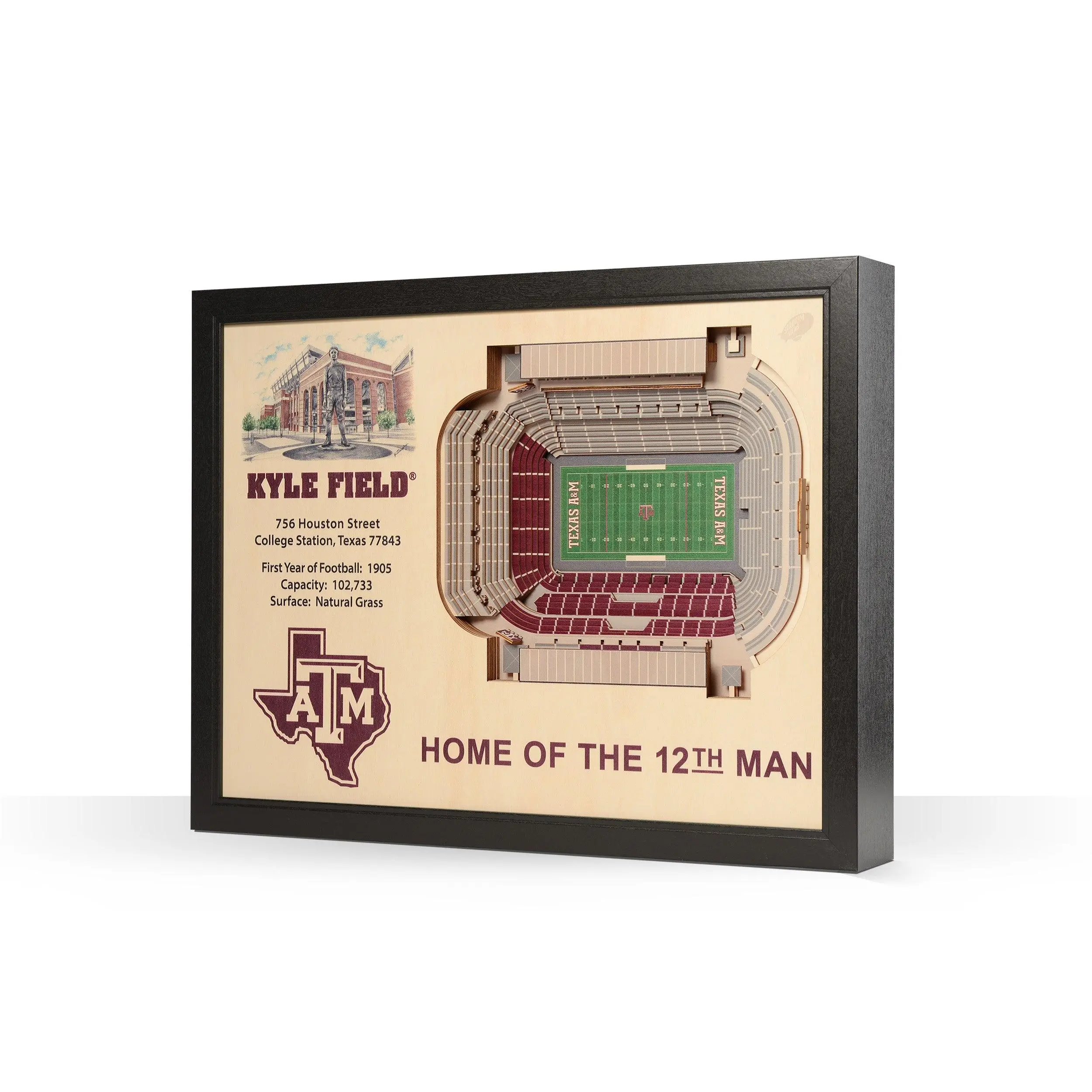 Texas A&M Aggies Kyle Field Stadiumview 3D Wall Art