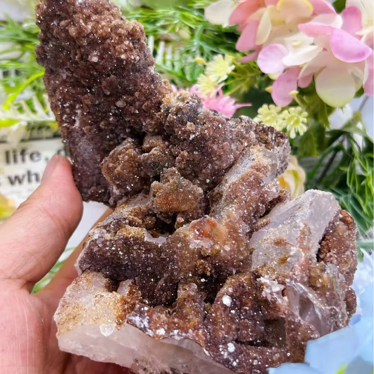Crystal Show LinkConfirm with the Host Before Placing an Order t