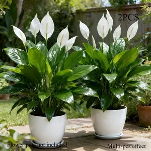2 Large Realistic Artificial Plants Suitable for Home Wedding Decor - Low-Maintenance Plastic Fake Flowers with White Blooms & Green Foliage, /Outdoor Decoration for Spring, Mother's Day Centerpieces, Year-Round Use for Home or Hotel