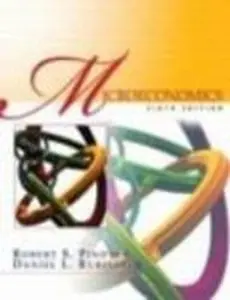 USED-Microeconomics, 6th Edition (Eastern Economy Edition) by Robert S. Pindyck (Paperback)