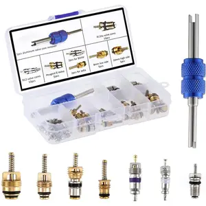 40pcs Car Air Conditioner Valve Core R12 R134a Automotive Air Conditioning Refrigeration Tire Valve Stem With Double Head Dual Dismantling Remover Tool Assortment Kit