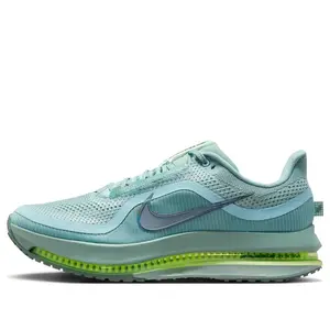 Nike Air Zoom Pegasus Premium 'Cannon' HQ2592-009