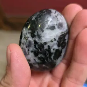 Indigo Gabbro Palm Stone