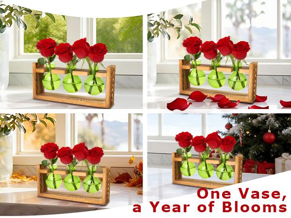 XXXFLOWER Colored Glass Plant Propagation Station 3 Bulb Desktop Flower Vase Stand Gift for Women Elegant Glass Material for Plant Lovers