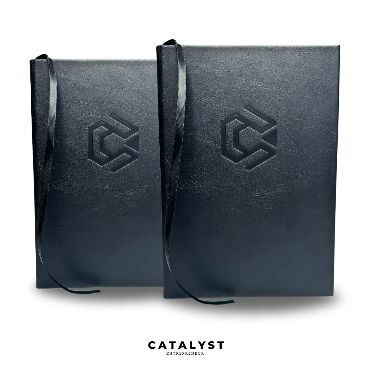 Catalyst Entrepreneur Journal & Planner - Bundle (2 Copies)
