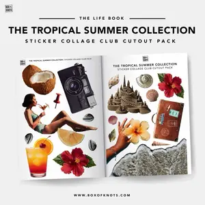 The Tropical Summer Collection | Travel | Celebration | DIY Collage Cutout Journal Kit | Full Sheet Sticker Adhesive | Scrapbooking | Journal Stickers | Matte | Decorative Junk Journaling Decor